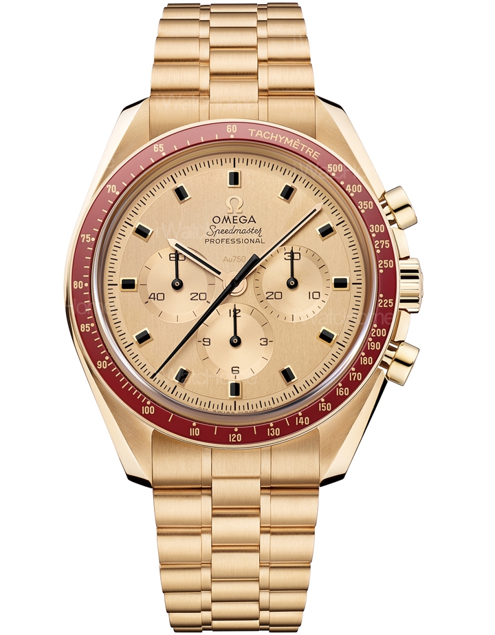 阿波羅11號50週年Moonshine™金紀念腕錶